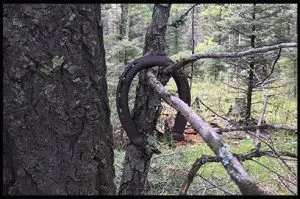 Read more about the article What is ElkBros?