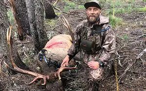 Read more about the article Chasing George