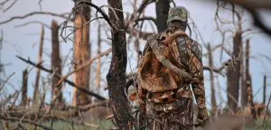Read more about the article Tips for selecting Camo