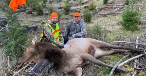 Read more about the article An Oregon First Time Success!