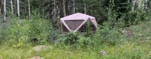Read more about the article Observations: Hunting Elk From A Blind