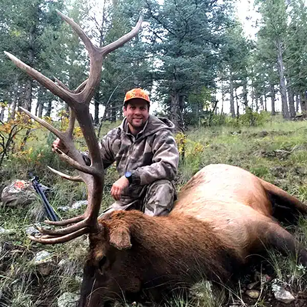 EXChaseElk2