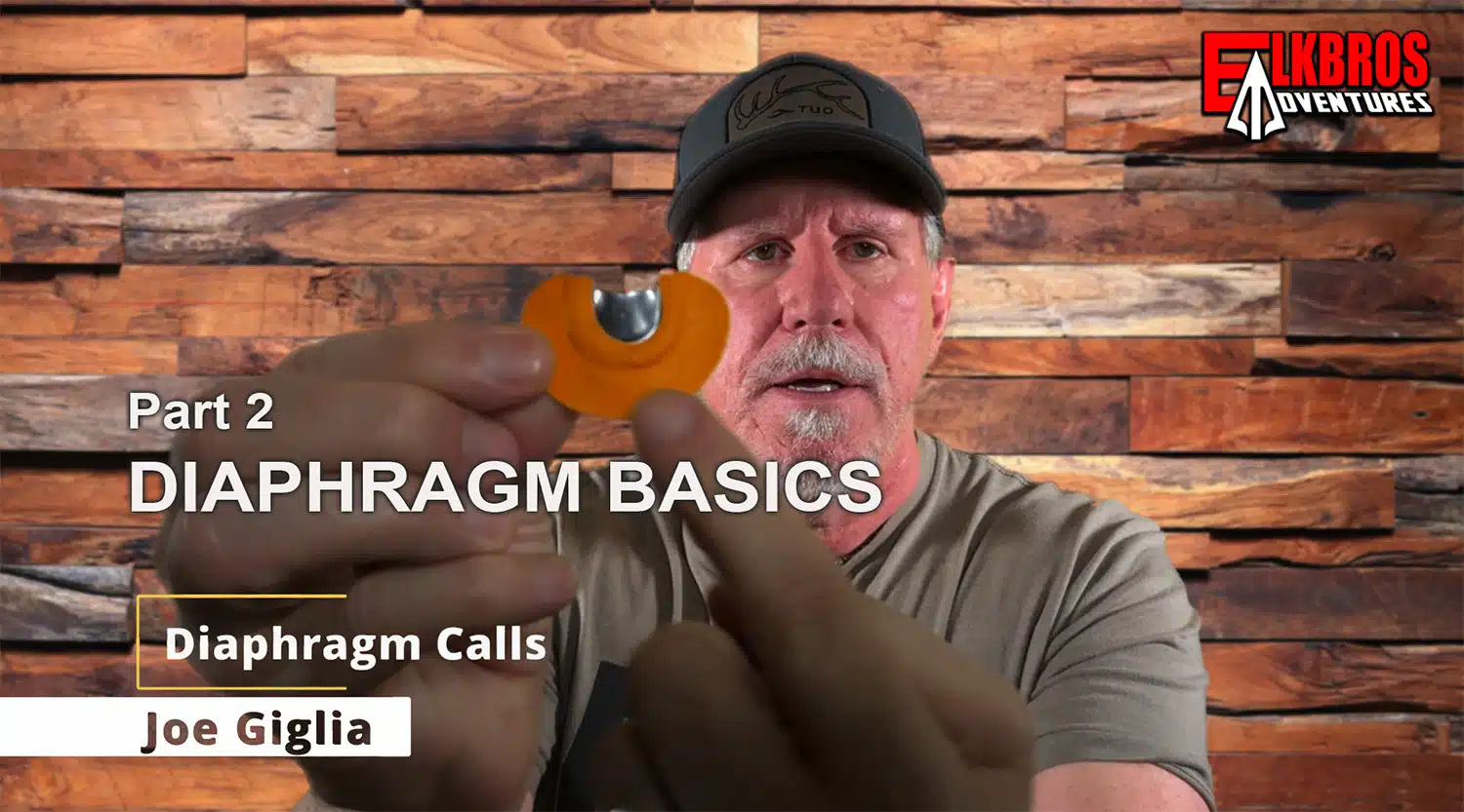 Diaphragm Basics